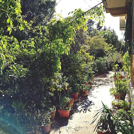 Apartament Eden *