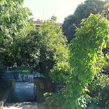 Eden Apartament